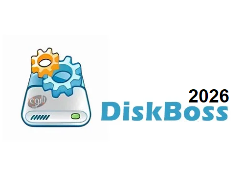 DiskBoss 2026 Getintopc 