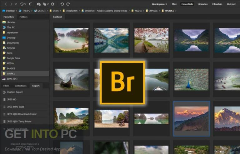 Adobe Bridge 2026 Getintopc 