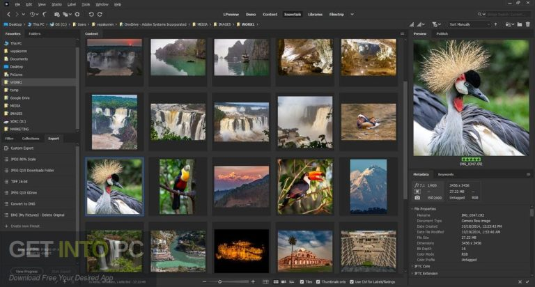 Adobe Bridge 2026 Getintopc 