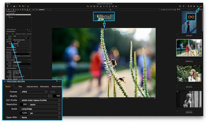 Getintopc Capture One Pro – Enterprise 