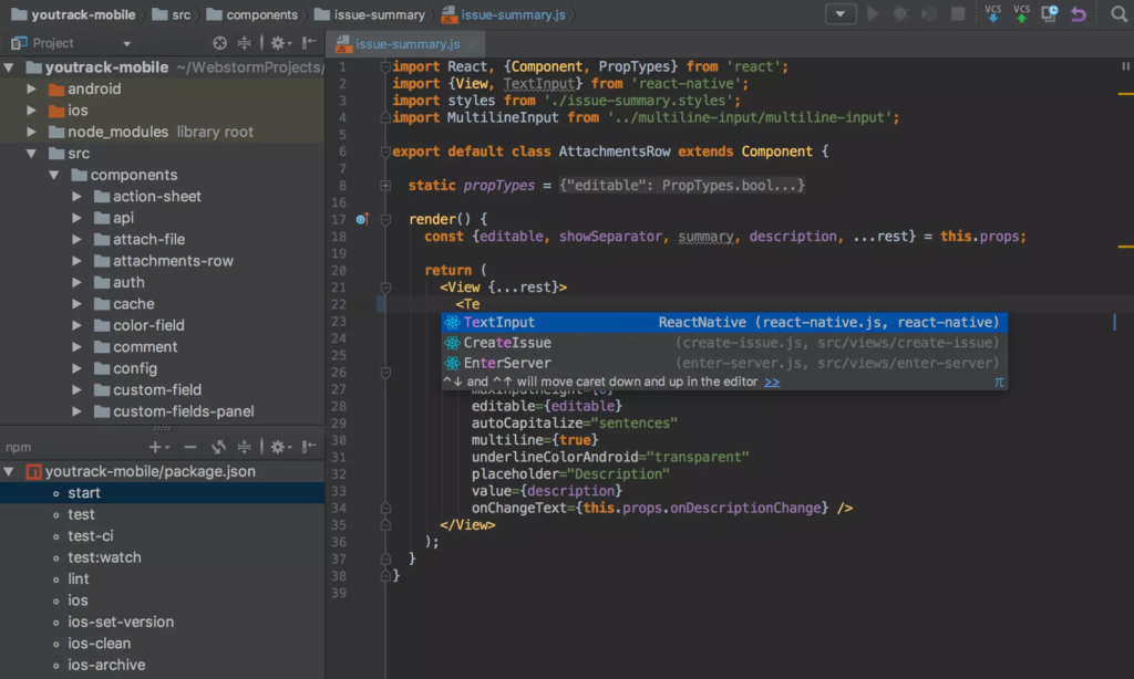 WebStorm getintopc